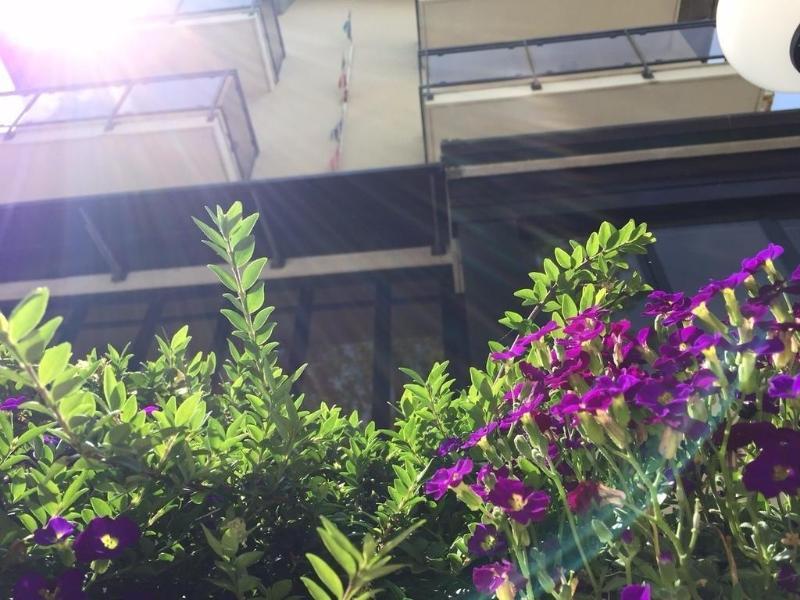 Hotel Abay Rimini Zewnętrze zdjęcie